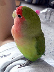 ���������Ȃ�񂾂��Ă����`�I