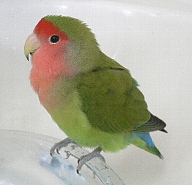 ���`�������I�o�`���o�`�����邼���`�I