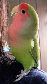 �ڂ��A���x�݂܂Ŋ撣���I