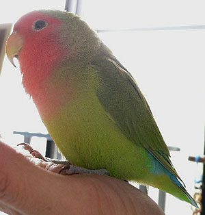 �܂������Ȃ��`�B�B