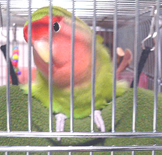 ��A��������[�ԂȂ́H