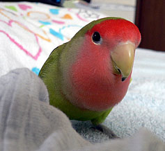 ��������[�Ԃ��悧�B