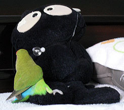 ������A�ڂ��Z�����̂��I