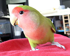 �}�}�A�C�����悤�ˁI