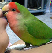 �}�}�A���[���Ƃ��������(^�E^)�`���b