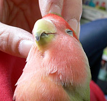 �C���������`�Ȃ��`�B�B