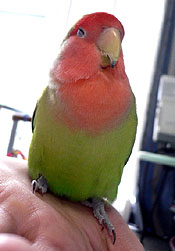 �܂��l���C�悧�`�B�B