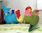 �݂�Ȃ́A�����́H�����������Ȃ́H�H