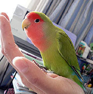 �����͓��j���A���������Ȃ肻�`�I