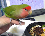 �}�}�̗[�т́A���ׂ�ƂȂ񂾂�`�I�I�C�^���Ȃ���I