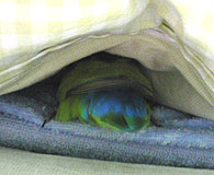 �ǂ�ǂ�`�`�`