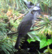 �R���j�`���`