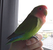 �����Ȃ��̂��Ȃ��B�B