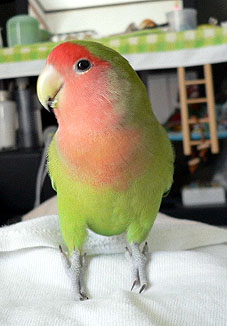 �����A��ς���I