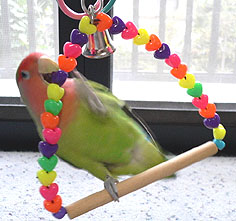 �^������΁A�����͒g���������I