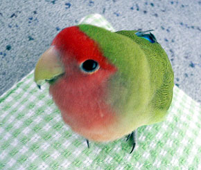 �}�}���A�����͑����A���ė��那�H