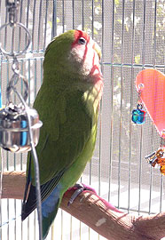 �͂��`�`�`�Ё[�ڂ����A�|�J�|�J�C�����C�C�܂��`�B�B