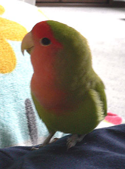 �}�}�A������җ҂����Ȃ�ˁB�B