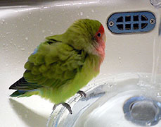 �悧�`�������`���I���������傧�`�I�I