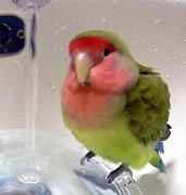 �ł��E�E�E���ׂ����[���Ȃ��`�B�B