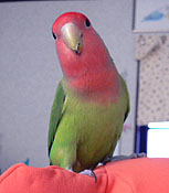 �˂��[�A�A�A�ǂ��ɂ���̂��`