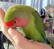 �ł��E�E�E������җ҂��������B�B