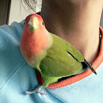 �}�}���I�����ځ`�I