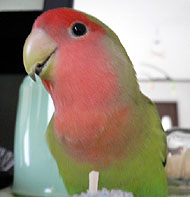 �����A�}�}����������̂��H