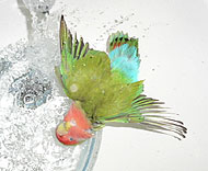 ���������������[���`(~o~)