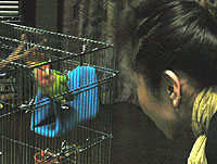 �n�i����H