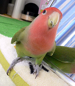 �}�}���I�������������������`�`�`�������񂾂��Ă΂��I�I