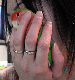 �ЂɂɁ�}�}�Ƃ؂����񂱁`