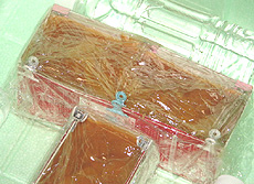 �^�ɓ���ĕۉ����B