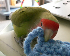 �R���A���ɍ���Ă�̂��`�I�i��������������̓����􂤂�ł��E�E�E�j