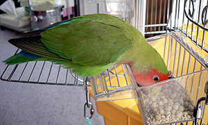 ���`�A�������������I�I