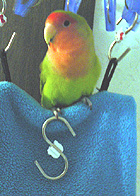 �ցH�����w���H