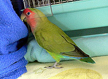 ���񂶂�A�}�}�͂�����������_���Ȃ񂾂�`