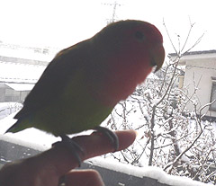 ���L���L�`