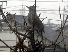 ��������H�������肱�����񂾂ˁH