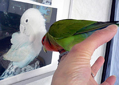 ���˂��������I�����������ɂ����ł���I