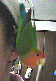 �˂��˂��`�܂����N������̂��H