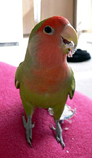 �}�}�A���[���ς����ʐ^�B���ā`��