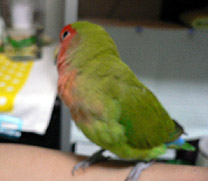 �}�}���`�B�B