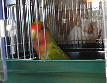 �C�ɂȂ�񂾂����`��B�B