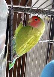 �ł��A�l���l���C�ɂȂ����Ⴄ�񂾂�ˁ`