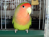 ���͂���B