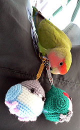 ���ˁ[�����ƁA��������Ȃ񂾂��