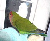 �܂��A�����ɍs������˂��I