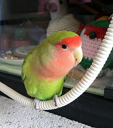 �����I�ڂ��̂��ʐ^�A�����ς�������������́I�H