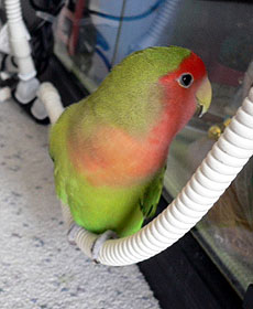 �E�E�E�܂��A���[���ς��B��΂����悧�`